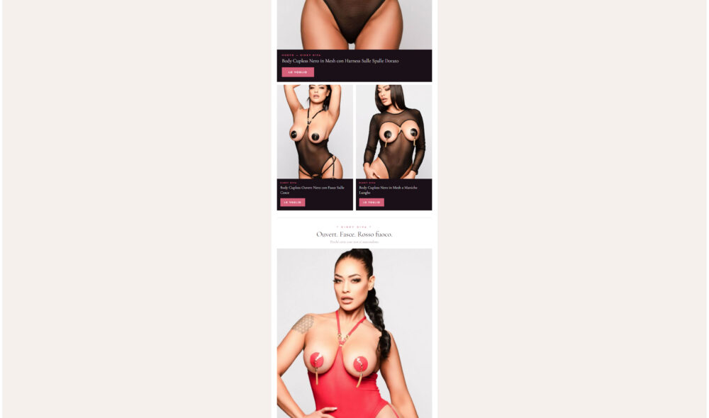 Lingerie Torino - Newsletter