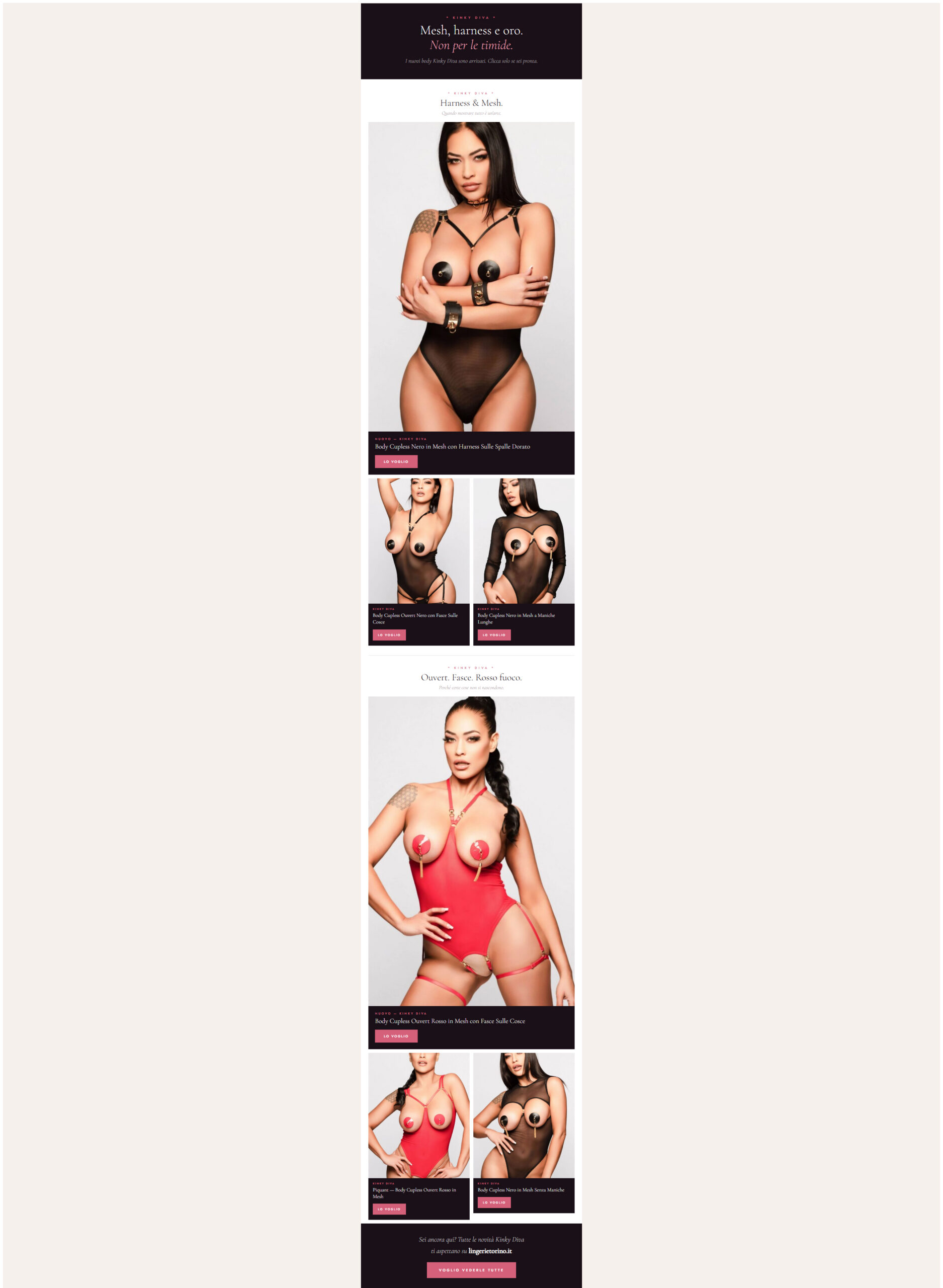 Lingerie Torino — E-commerce